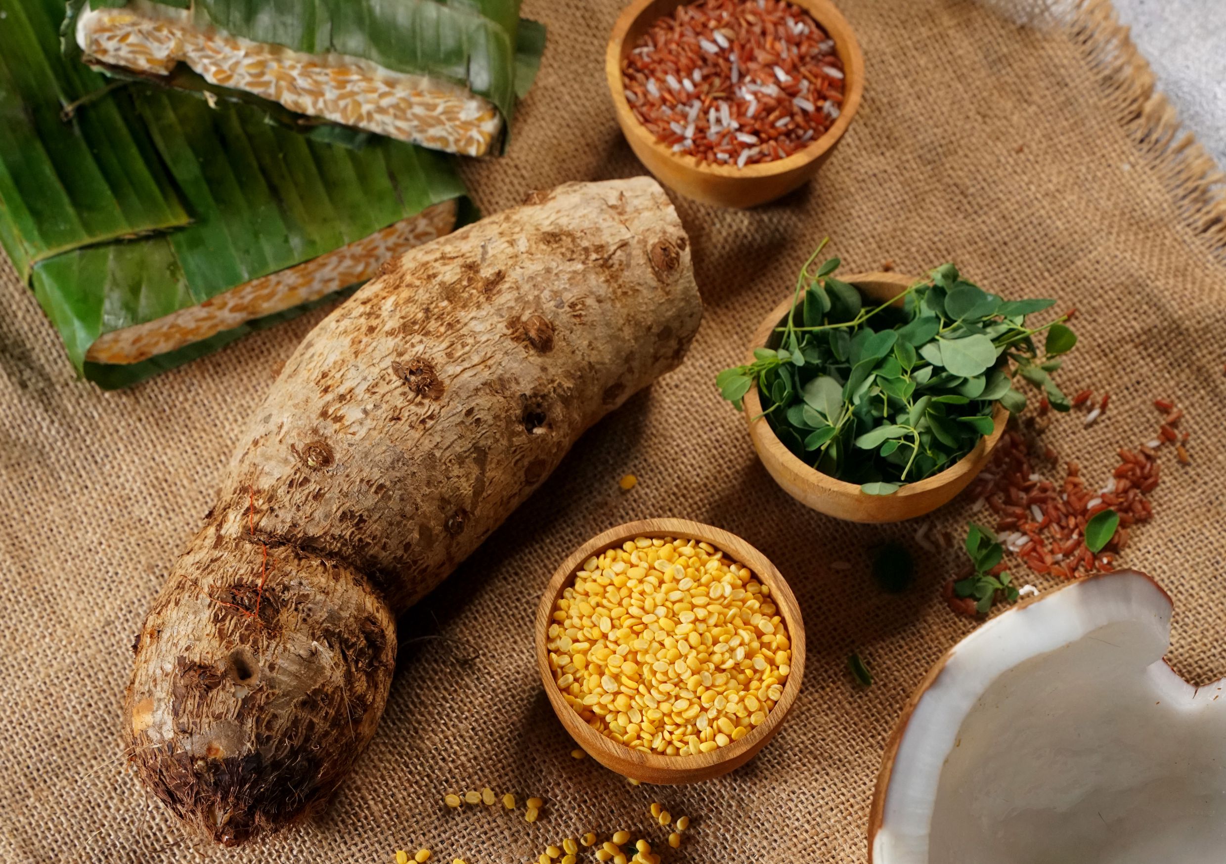 Ayurvedic
Cooking
Experience