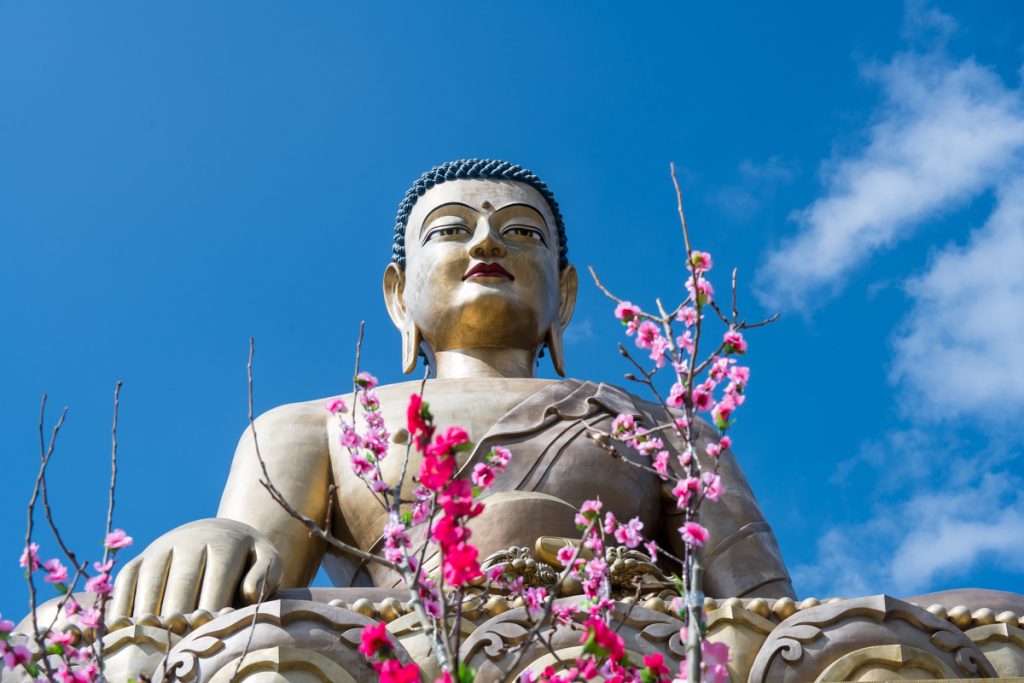 Bhutan Story with David Metcalf