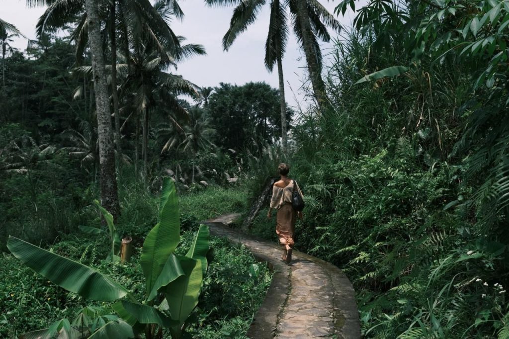The Power of Ayurveda Ulli Allmendinger
