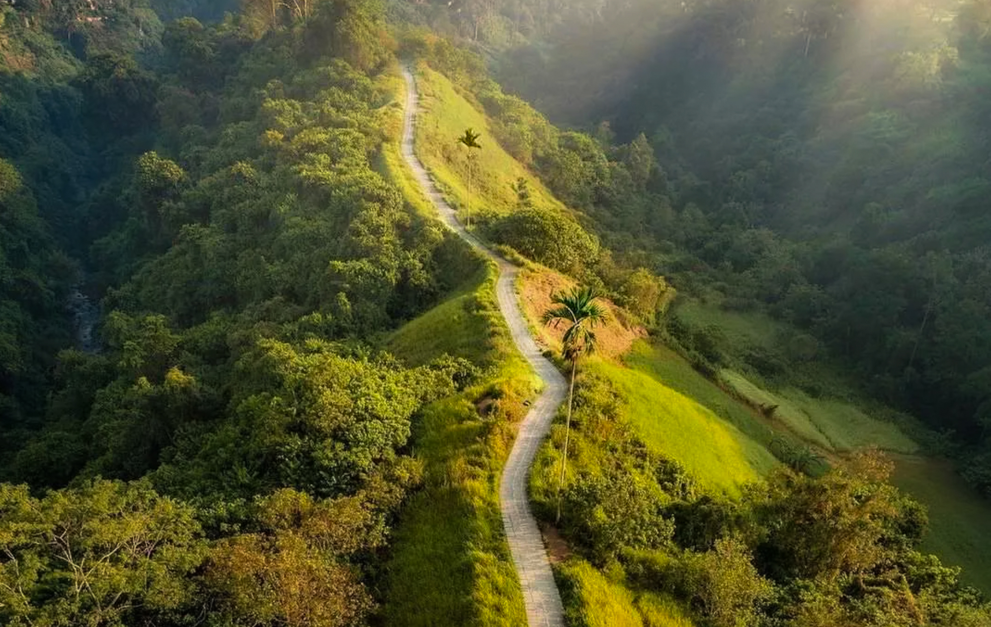 Bukit Campuhan Ridge Ubud Bali